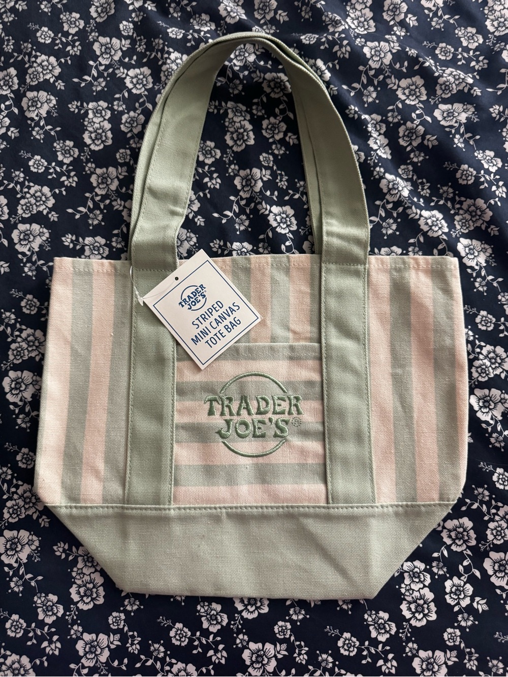 Mini Striped Canvas Tote Bag in Light Green and Cream